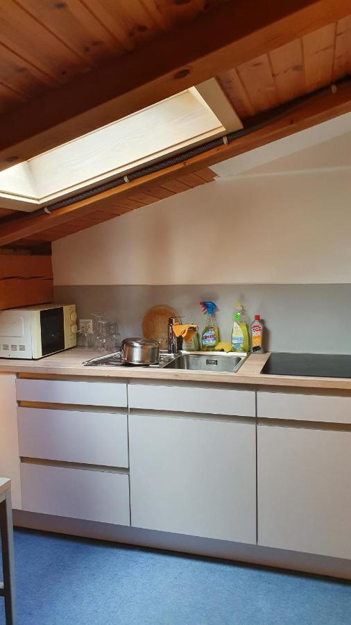 Landgasthof Hoelzlisberg Eichberg エクステリア 写真